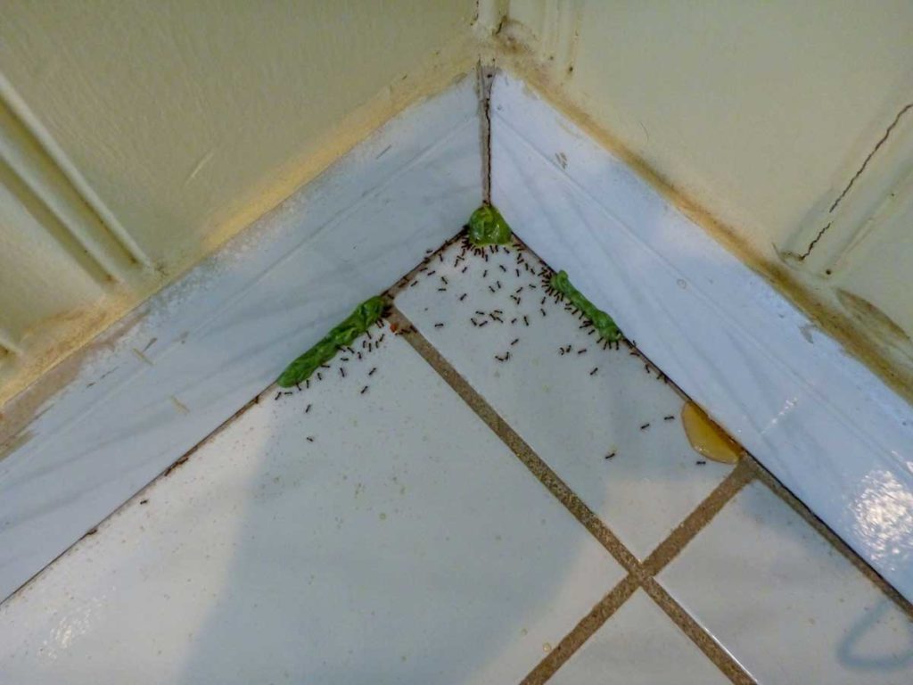 Дезинфекция Тольятти дезинфекция тольятти